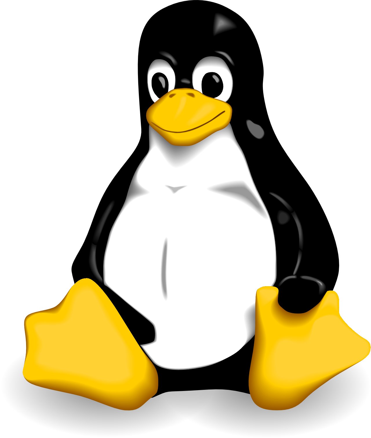 LINUX